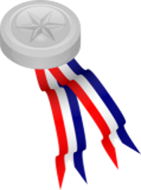 Silver VoIP User